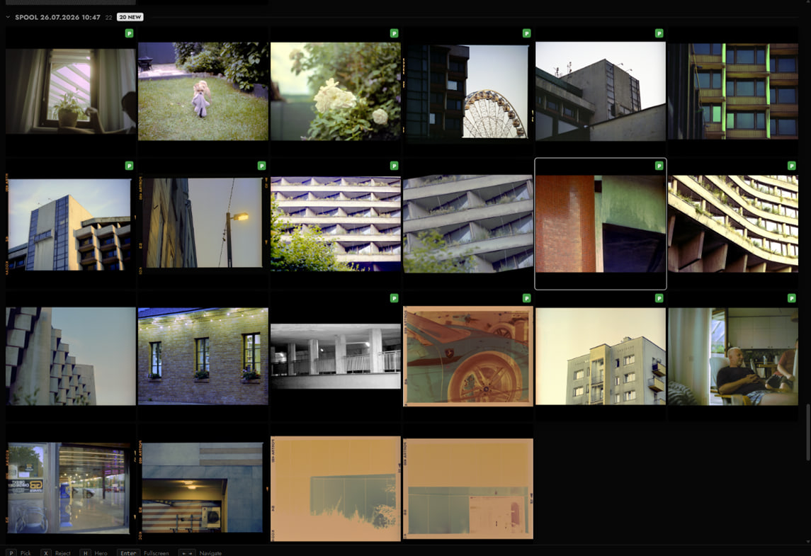 The library grid grouped by spool, with converted frames and untouched negatives side by side